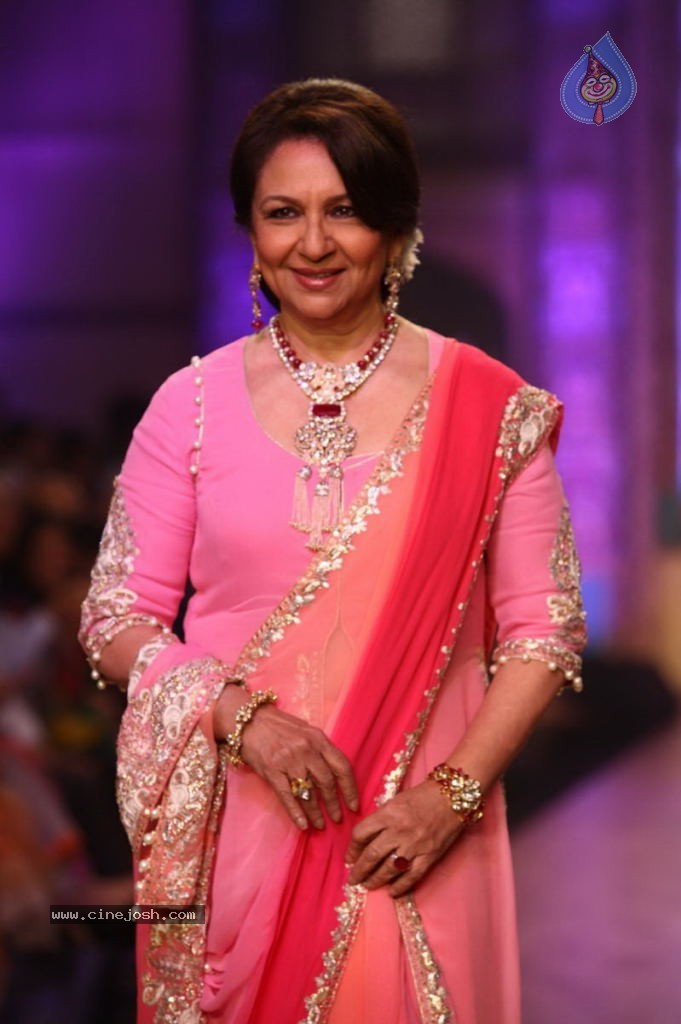 Celebs Walks the Ramp at IIJW 2013 Day 4 - 76 / 129 photos