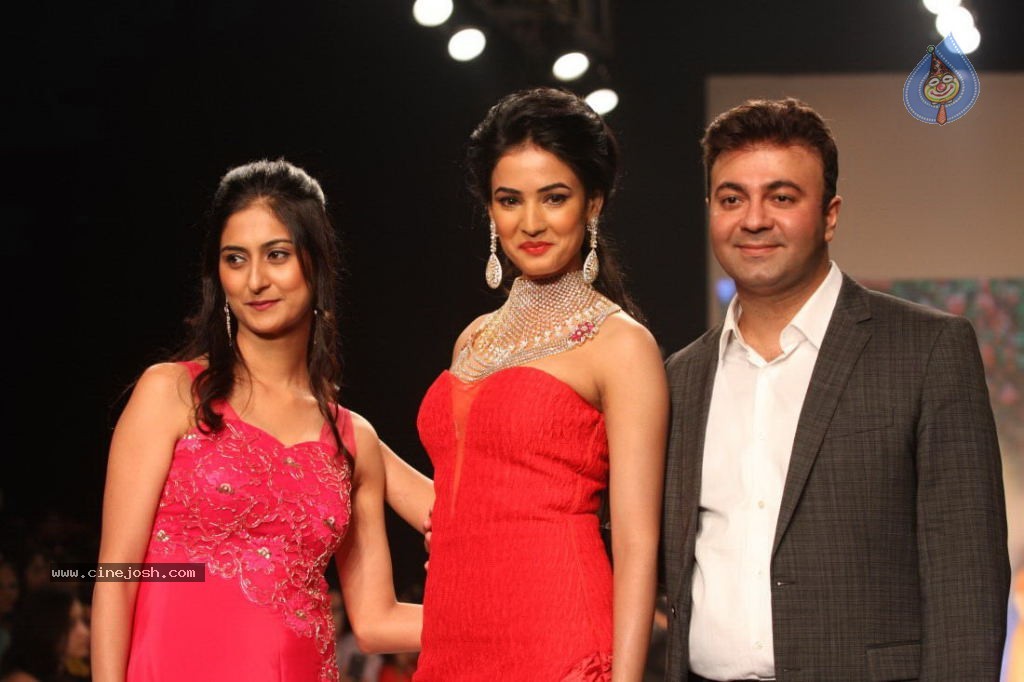 Celebs Walks the Ramp at IIJW 2013 Day 4 - 77 / 129 photos