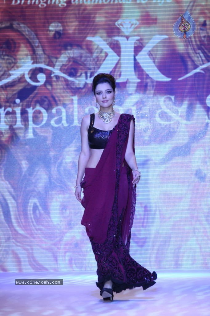 Celebs Walks the Ramp at IIJW 2013 Day 4 - 92 / 129 photos