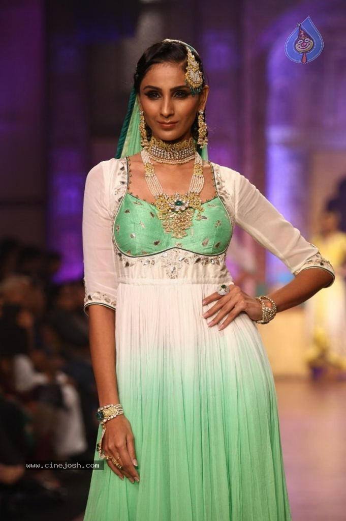 Celebs Walks the Ramp at IIJW 2013 Day 4 - 98 / 129 photos