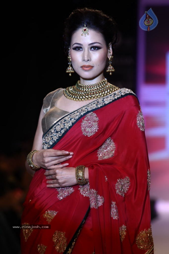 Celebs Walks the Ramp at IIJW 2013 Day 4 - 99 / 129 photos