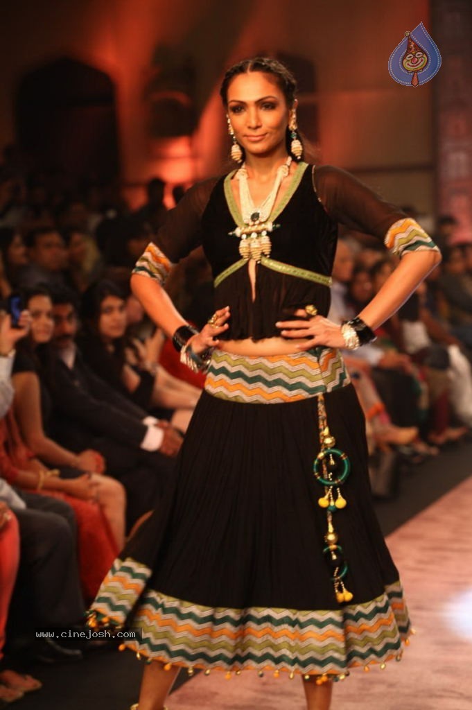 Celebs Walks the Ramp at IIJW 2013 Day 4 - 113 / 129 photos