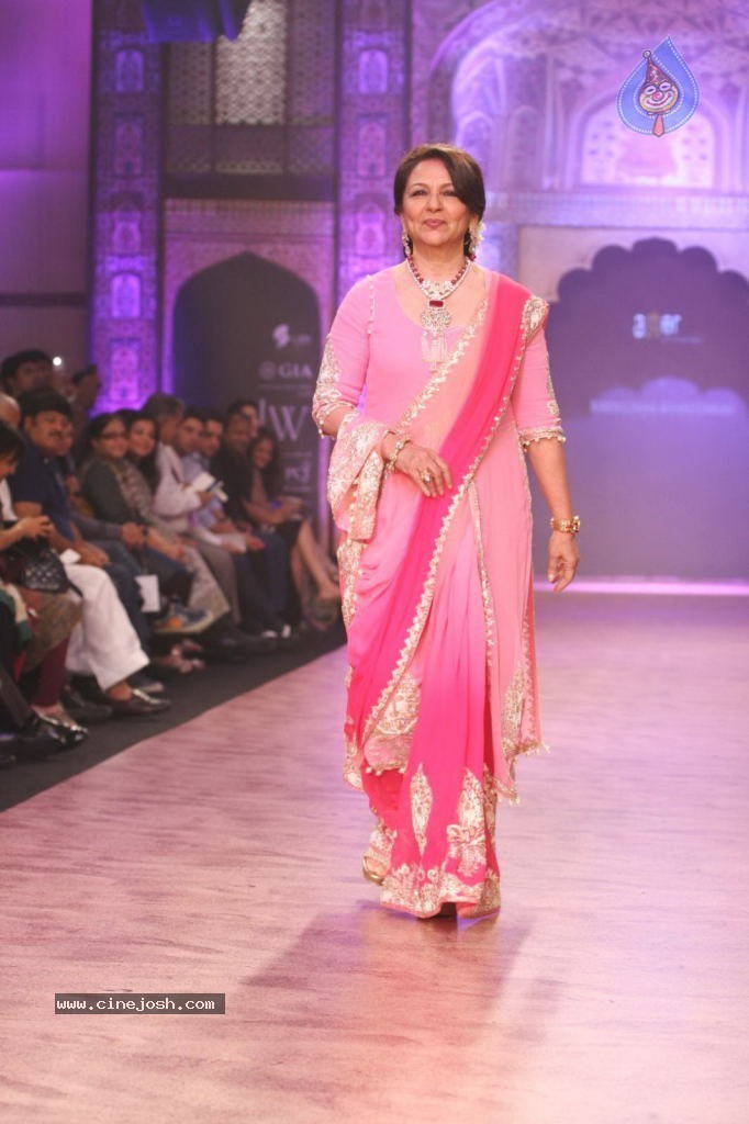 Celebs Walks the Ramp at IIJW 2013 Day 4 - 115 / 129 photos