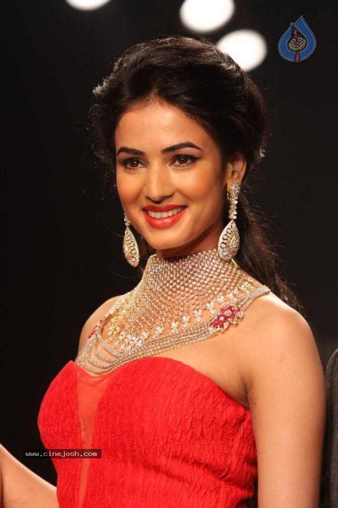 Celebs Walks the Ramp at IIJW 2013 Day 4 - 117 / 129 photos