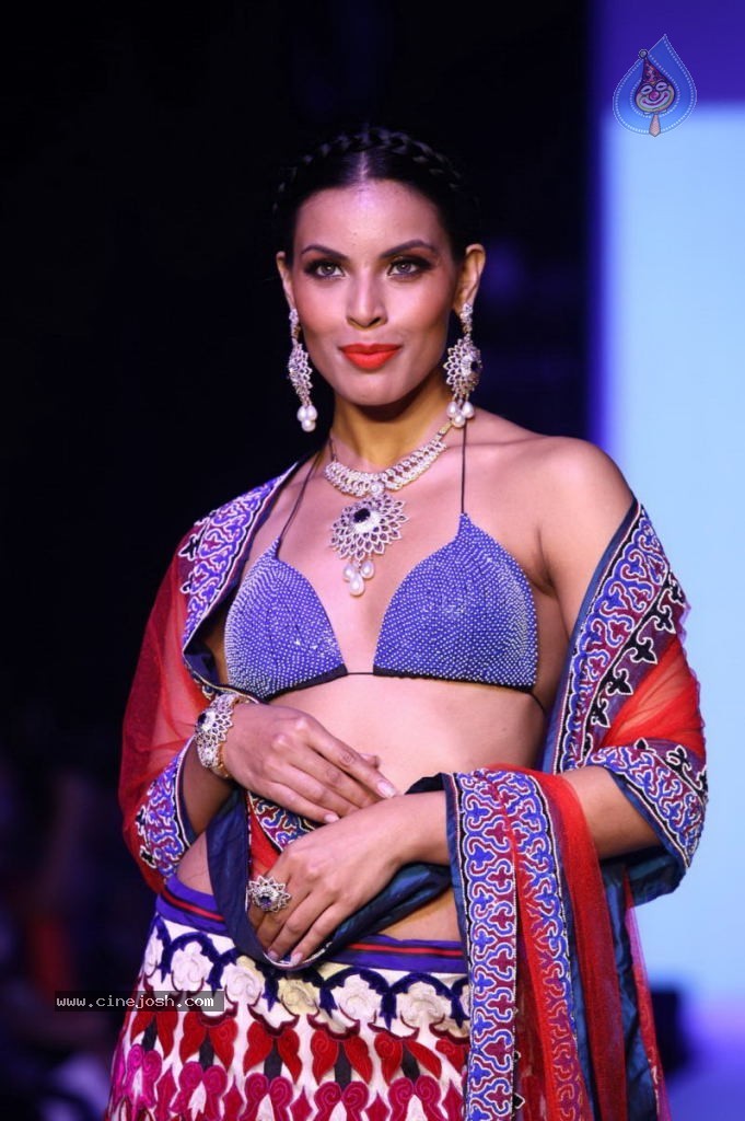 Celebs Walks the Ramp at IIJW 2013 Day 4 - 118 / 129 photos