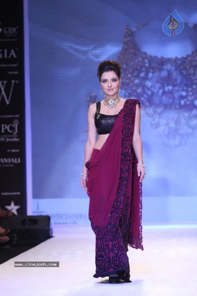 Celebs Walks the Ramp at IIJW 2013 Day 4 - 119 / 129 photos