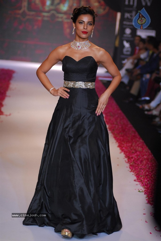Celebs Walks the Ramp at IIJW 2014 Set 1 - 4 / 235 photos