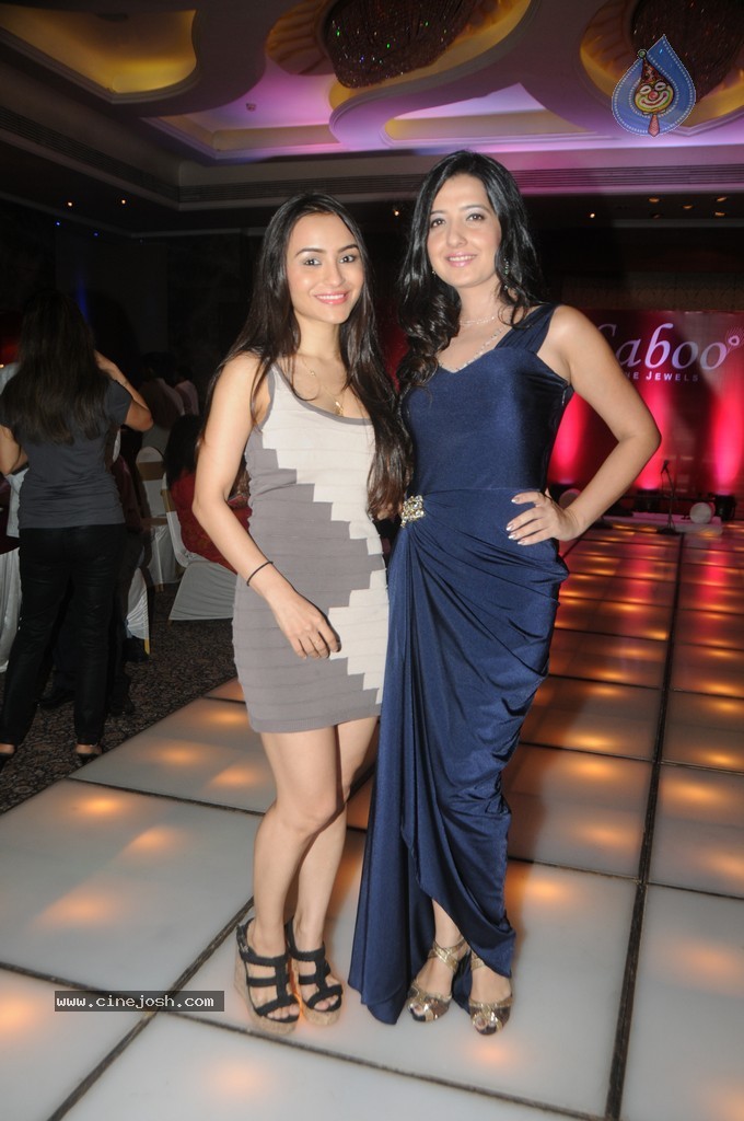 Celebs Walks the Ramp at IIJW 2014 Set 1 - 23 / 235 photos