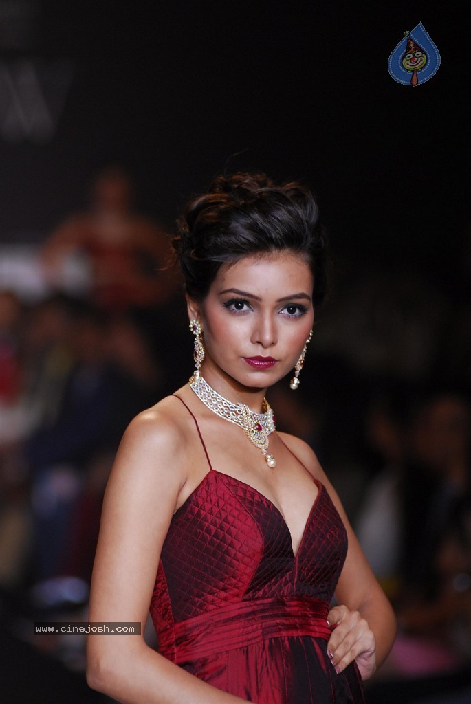 Celebs Walks the Ramp at IIJW 2014 Set 1 - 30 / 235 photos