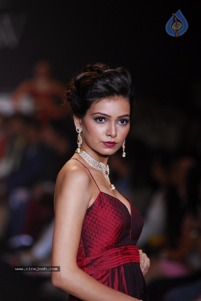 Celebs Walks the Ramp at IIJW 2014 Set 1 - 39 / 235 photos