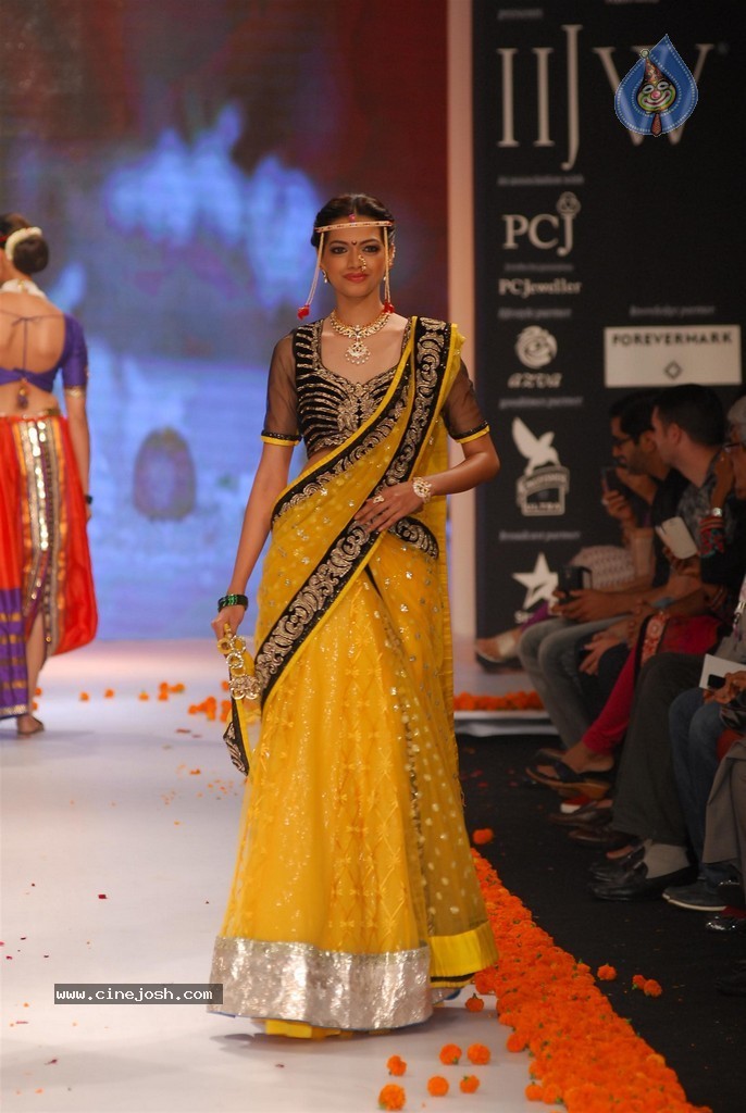 Celebs Walks the Ramp at IIJW 2014 Set 1 - 61 / 235 photos
