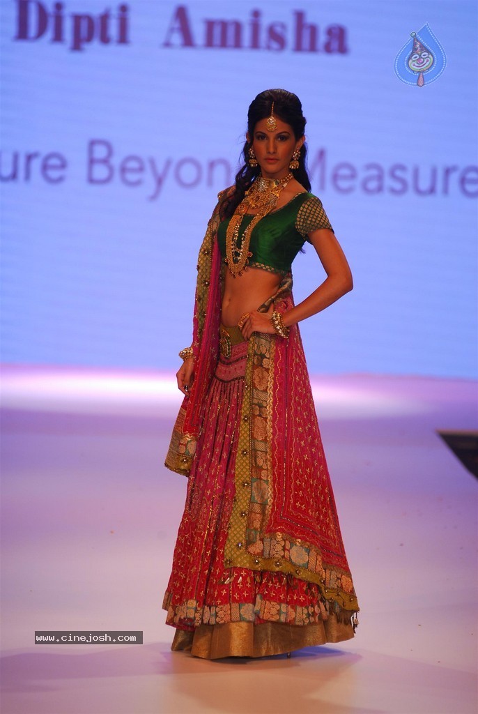 Celebs Walks the Ramp at IIJW 2014 Set 1 - 68 / 235 photos