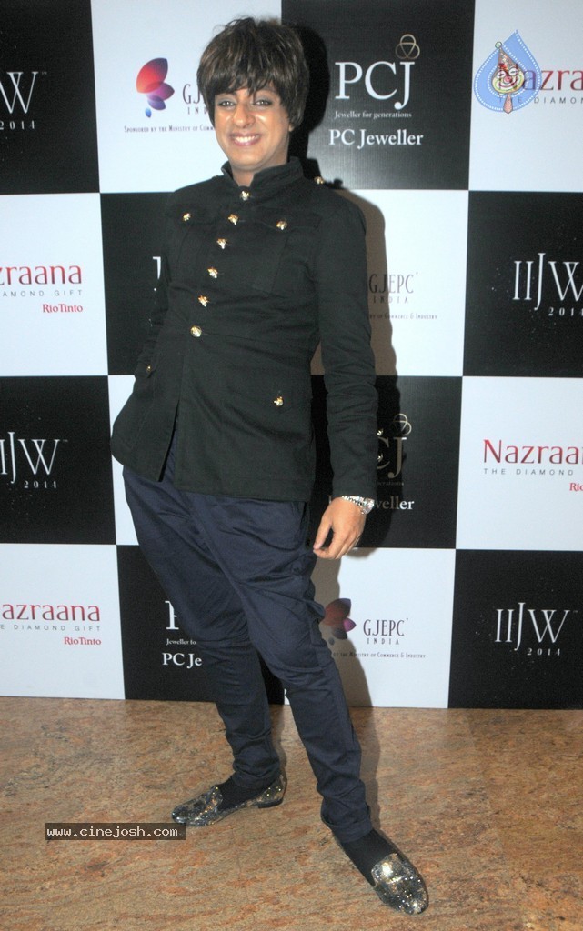 Celebs Walks the Ramp at IIJW 2014 Set 1 - 79 / 235 photos