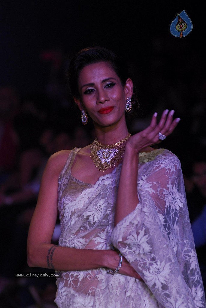 Celebs Walks the Ramp at IIJW 2014 Set 1 - 113 / 235 photos