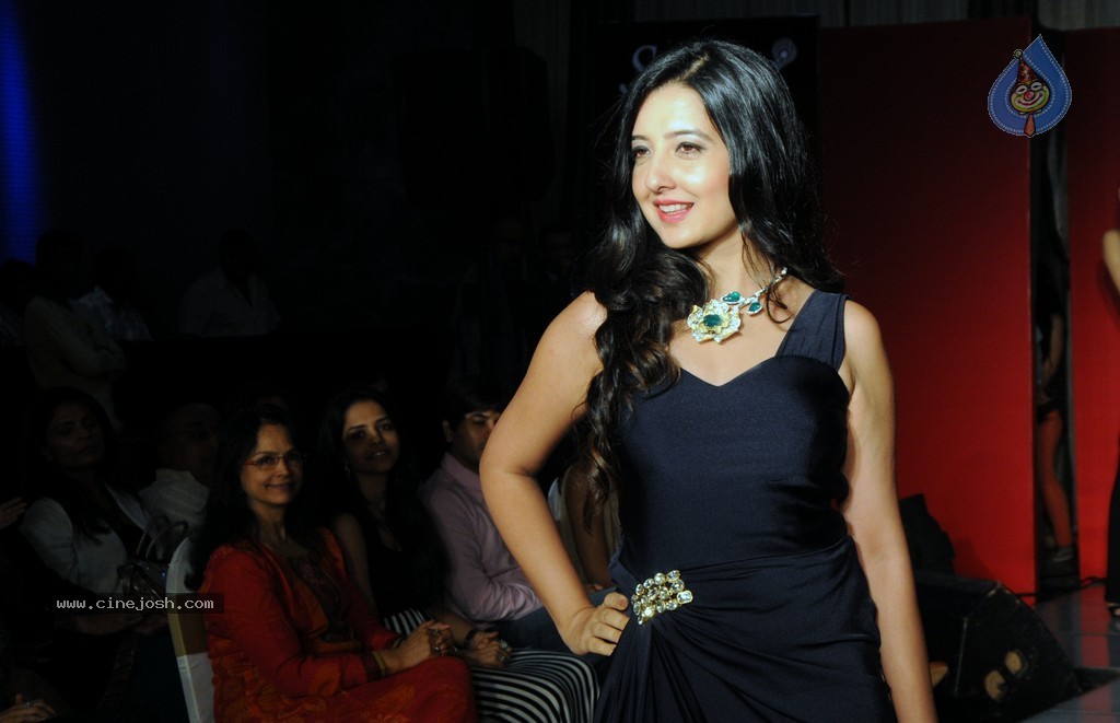 Celebs Walks the Ramp at IIJW 2014 Set 1 - 116 / 235 photos