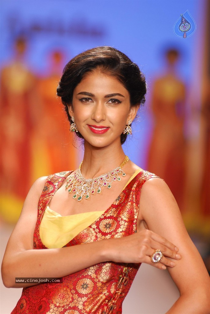 Celebs Walks the Ramp at IIJW 2014 Set 1 - 118 / 235 photos