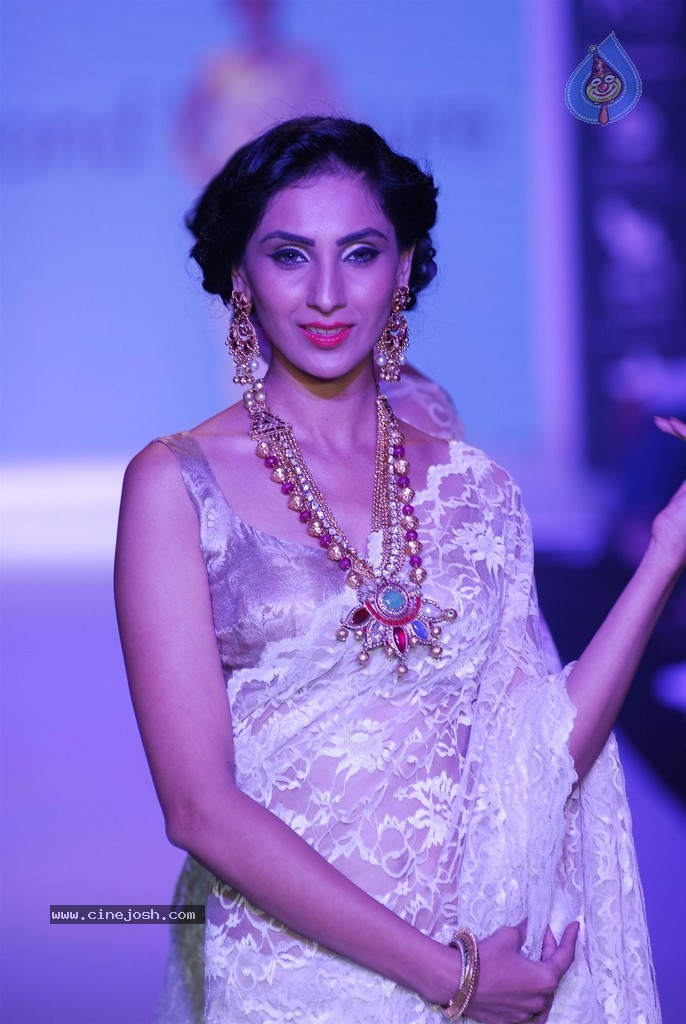 Celebs Walks the Ramp at IIJW 2014 Set 1 - 121 / 235 photos