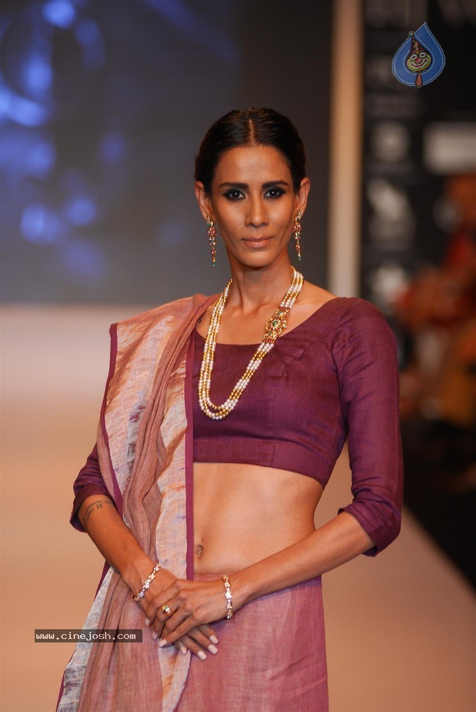 Celebs Walks the Ramp at IIJW 2014 Set 1 - 205 / 235 photos