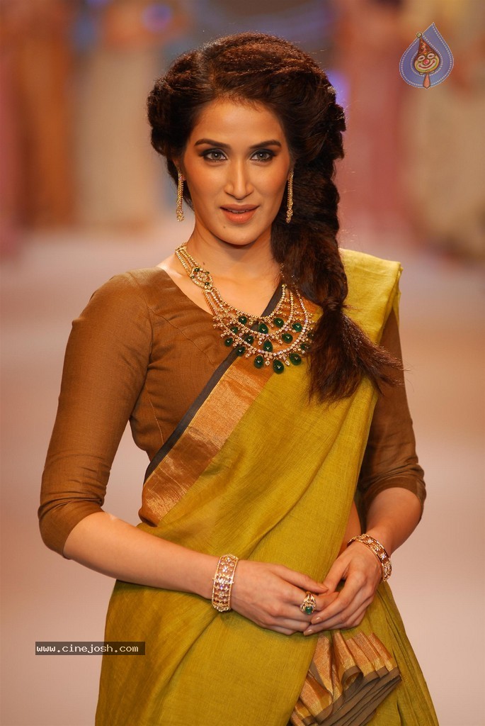 Celebs Walks the Ramp at IIJW 2014 Set 2 - 23 / 235 photos