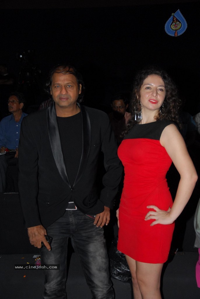 Celebs Walks the Ramp at IIJW 2014 Set 2 - 40 / 235 photos