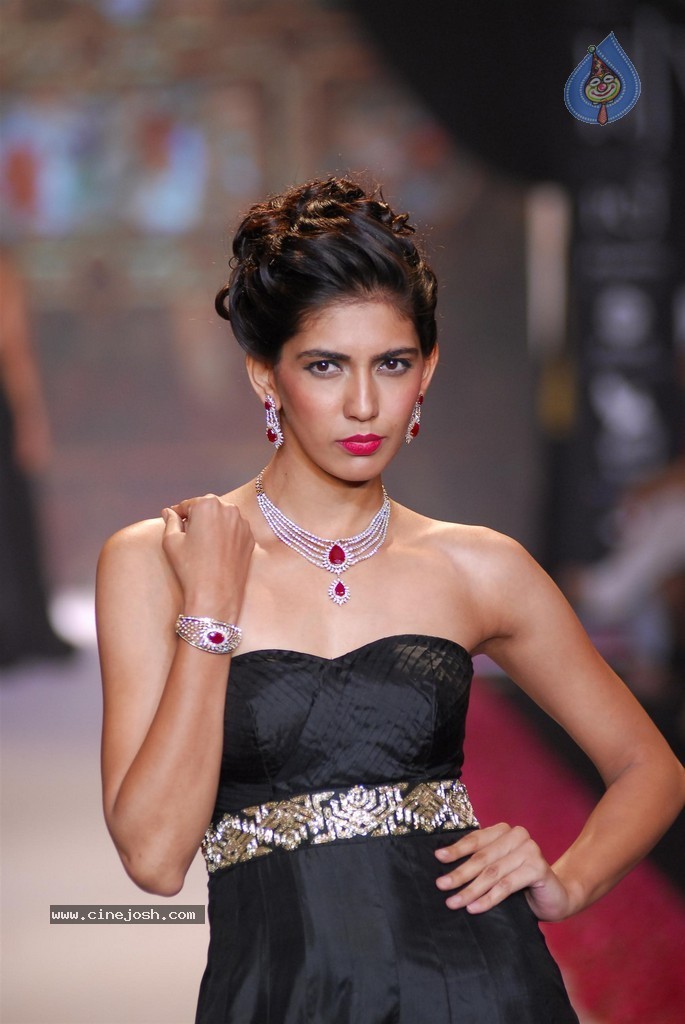 Celebs Walks the Ramp at IIJW 2014 Set 2 - 49 / 235 photos