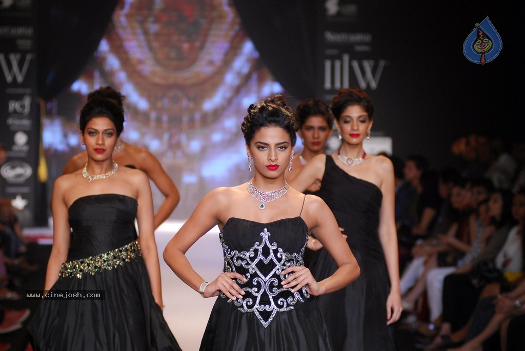 Celebs Walks the Ramp at IIJW 2014 Set 2 - 54 / 235 photos