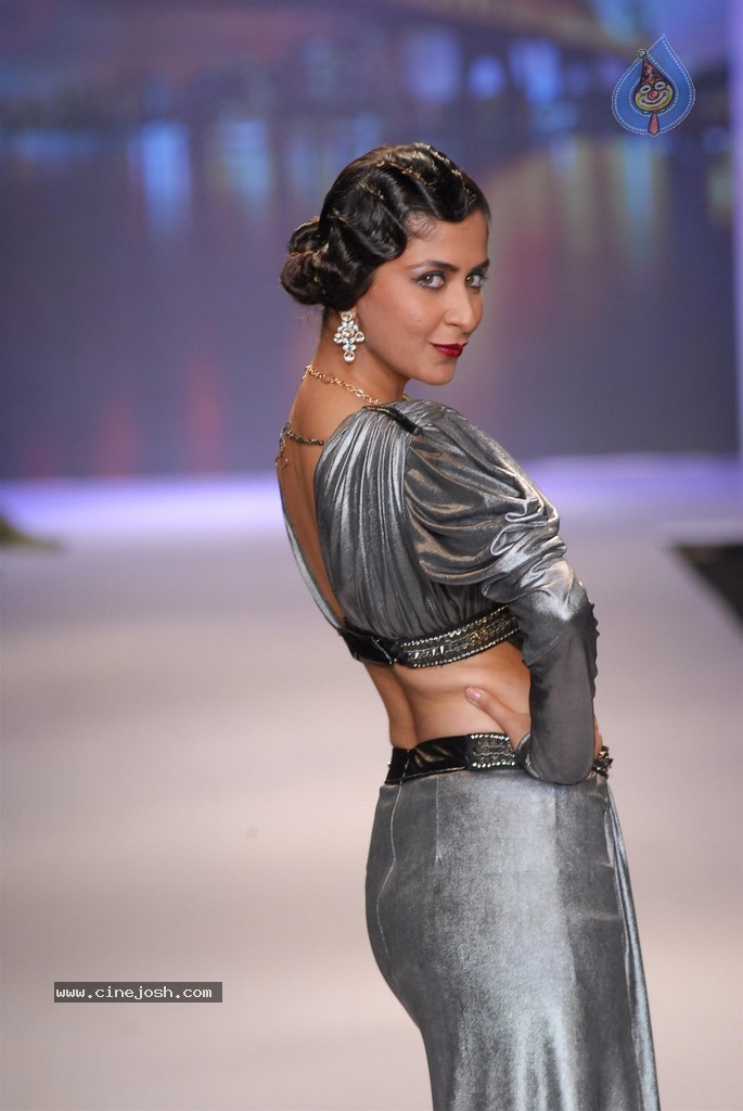 Celebs Walks the Ramp at IIJW 2014 Set 2 - 70 / 235 photos
