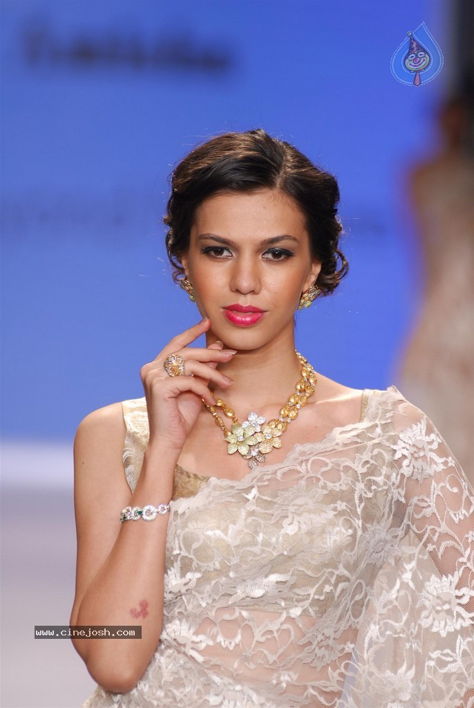 Celebs Walks the Ramp at IIJW 2014 Set 2 - 84 / 235 photos