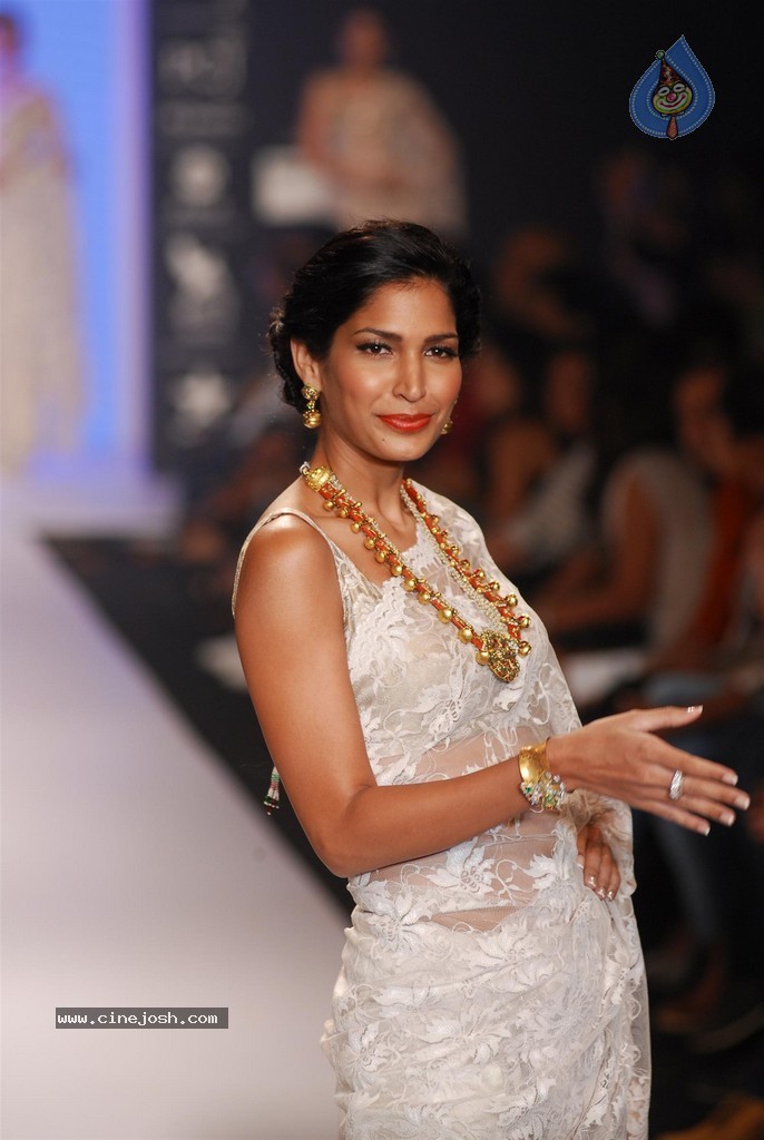 Celebs Walks the Ramp at IIJW 2014 Set 2 - 87 / 235 photos