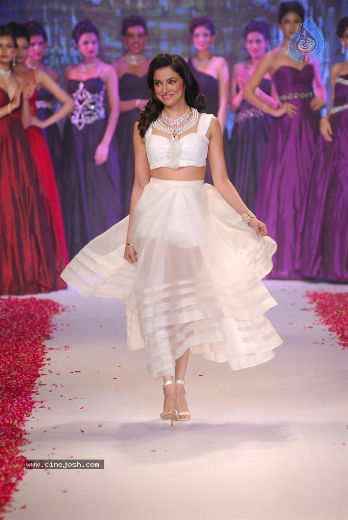 Celebs Walks the Ramp at IIJW 2014 Set 2 - 90 / 235 photos