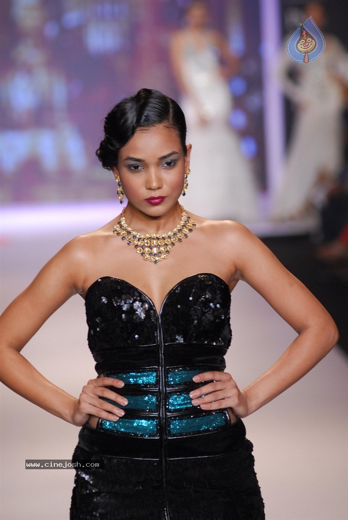 Celebs Walks the Ramp at IIJW 2014 Set 2 - 102 / 235 photos