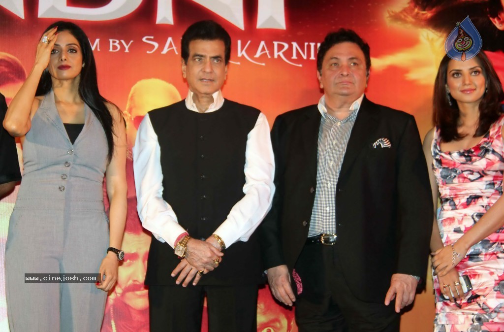 Chaar Din Ki Chandni  Movie Audio Launch  - 30 / 93 photos