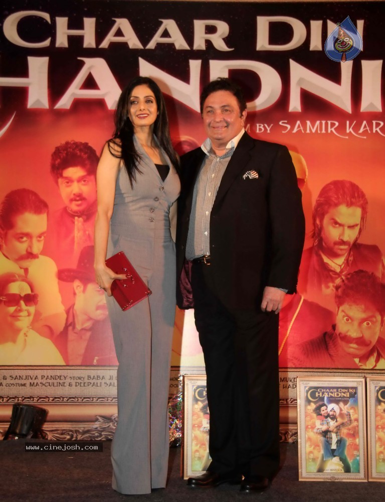 Chaar Din Ki Chandni  Movie Audio Launch  - 36 / 93 photos