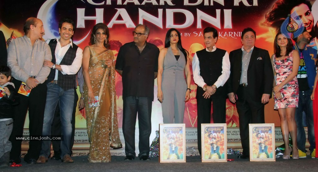 Chaar Din Ki Chandni  Movie Audio Launch  - 38 / 93 photos
