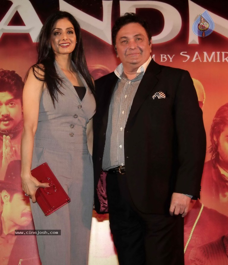 Chaar Din Ki Chandni  Movie Audio Launch  - 43 / 93 photos