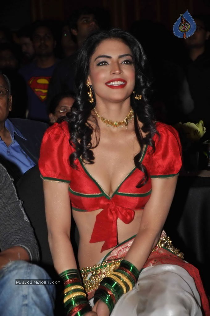 Chalis Chaurasi Movie Music Launch - 27 / 66 photos