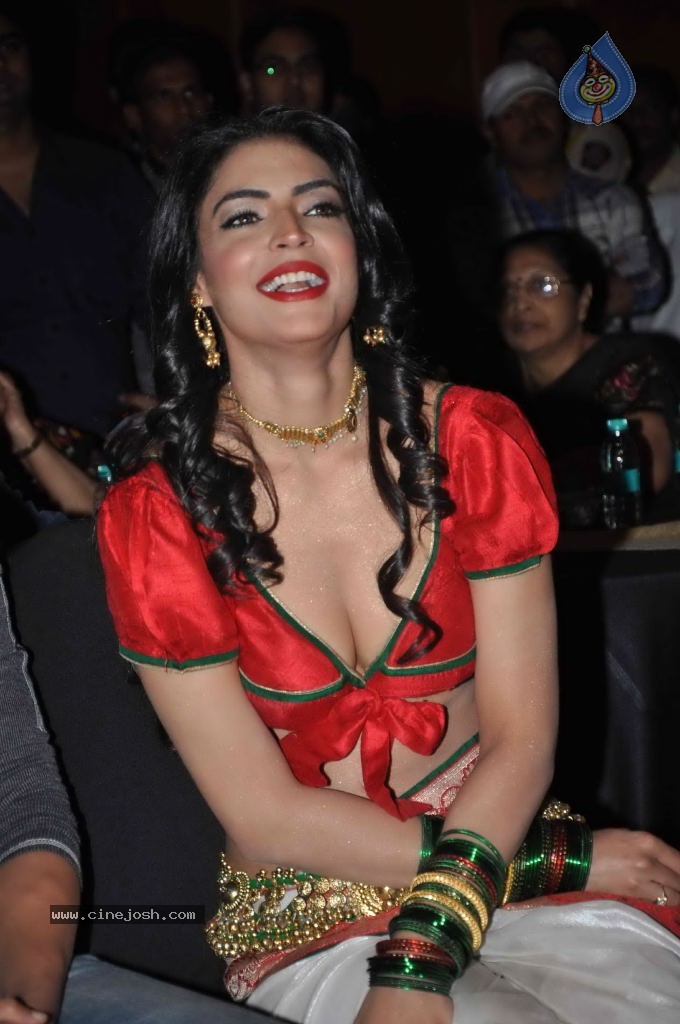 Chalis Chaurasi Movie Music Launch - 43 / 66 photos