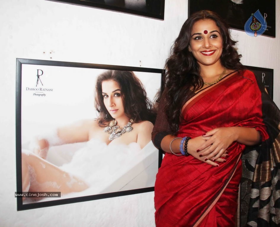 Dabboo Ratnani Calendar 2012 Launch - 146 / 150 photos
