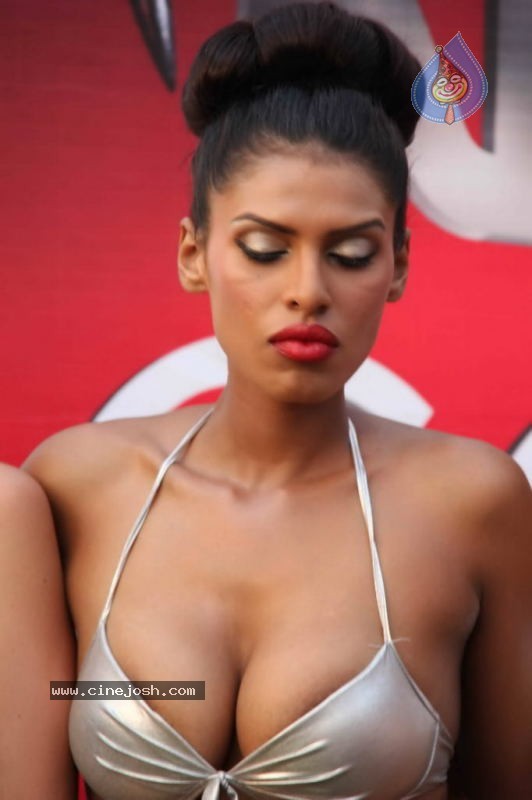 Deepika n Siddharth with Kingfisher Calendar Babes - 59 / 60 photos