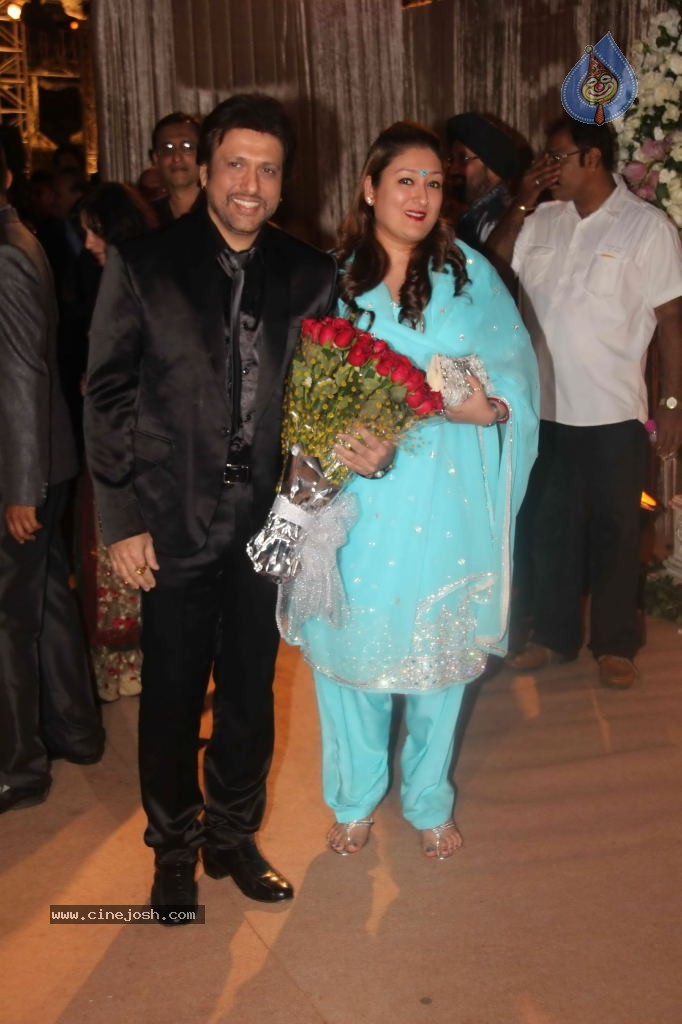 Deepshikha and Dheeraj Deshmukh Reception - 22 / 69 photos