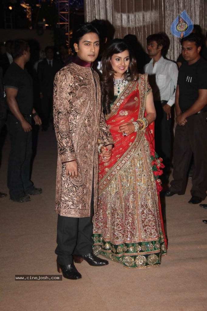 Deepshikha and Dheeraj Deshmukh Reception - 26 / 69 photos