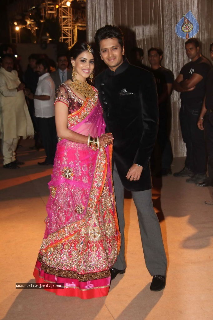 Deepshikha and Dheeraj Deshmukh Reception - 40 / 69 photos