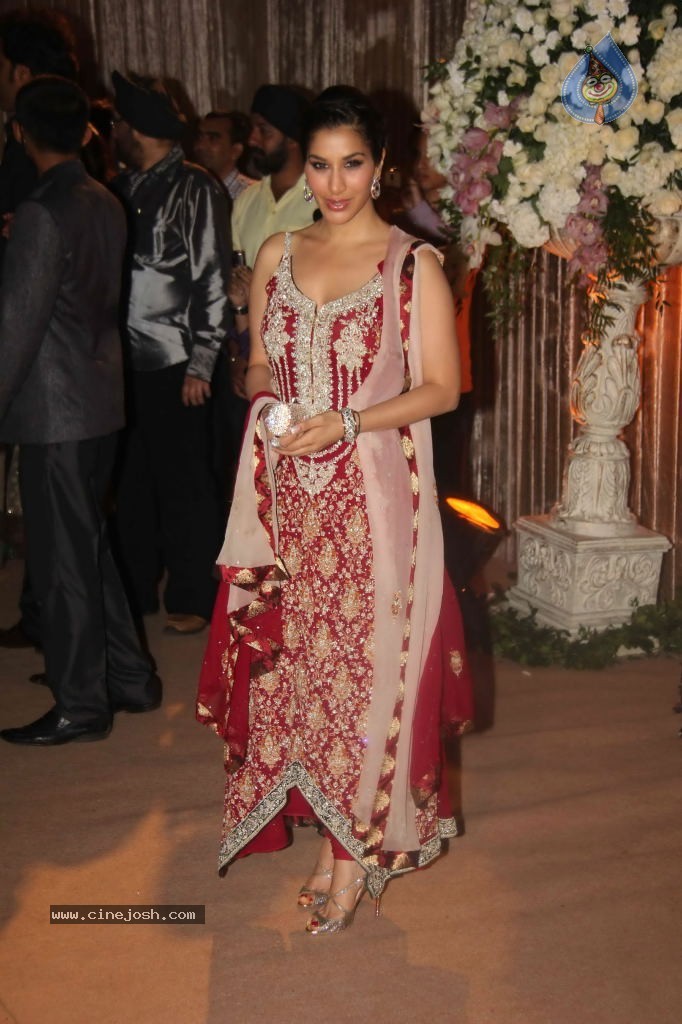 Deepshikha and Dheeraj Deshmukh Reception - 46 / 69 photos