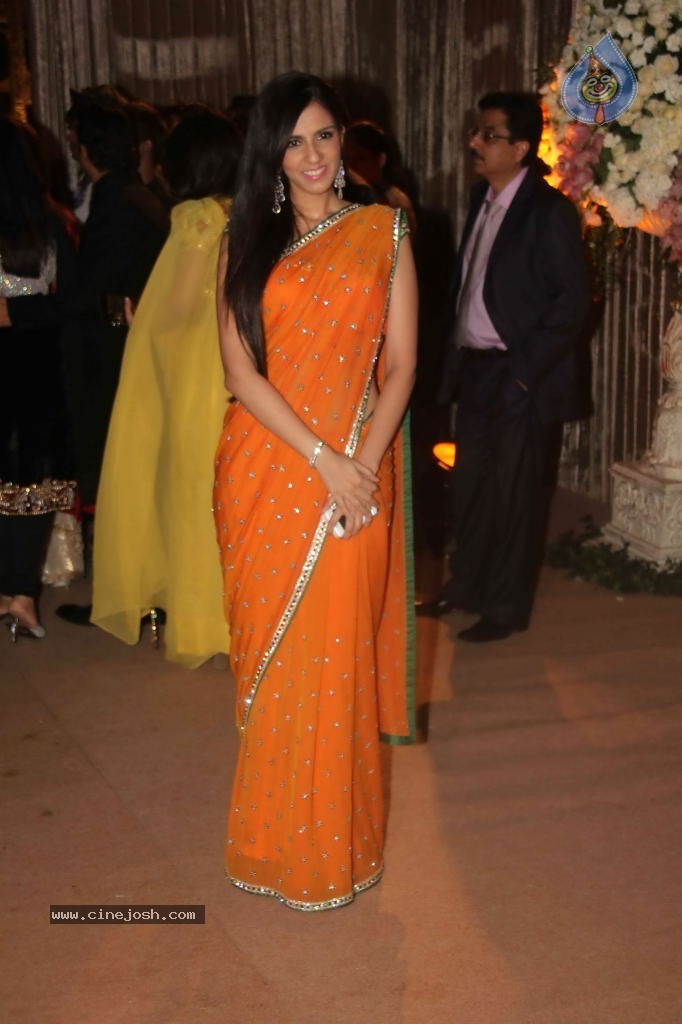 Deepshikha and Dheeraj Deshmukh Reception - 50 / 69 photos