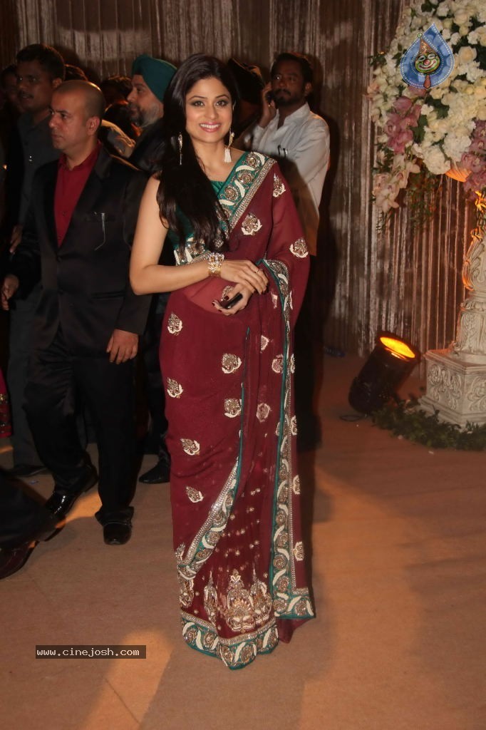 Deepshikha and Dheeraj Deshmukh Reception - 62 / 69 photos