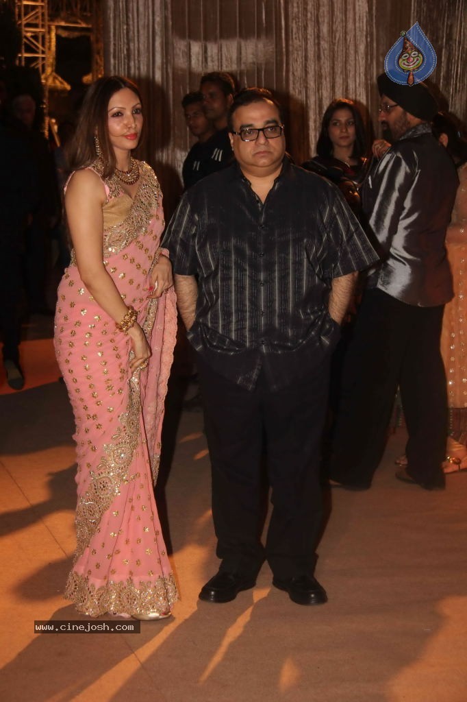 Deepshikha and Dheeraj Deshmukh Reception - 63 / 69 photos