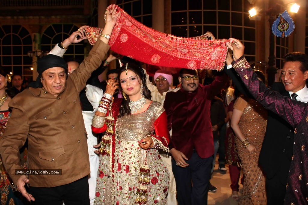 Deepshikha Wedding Reception - 15 / 41 photos