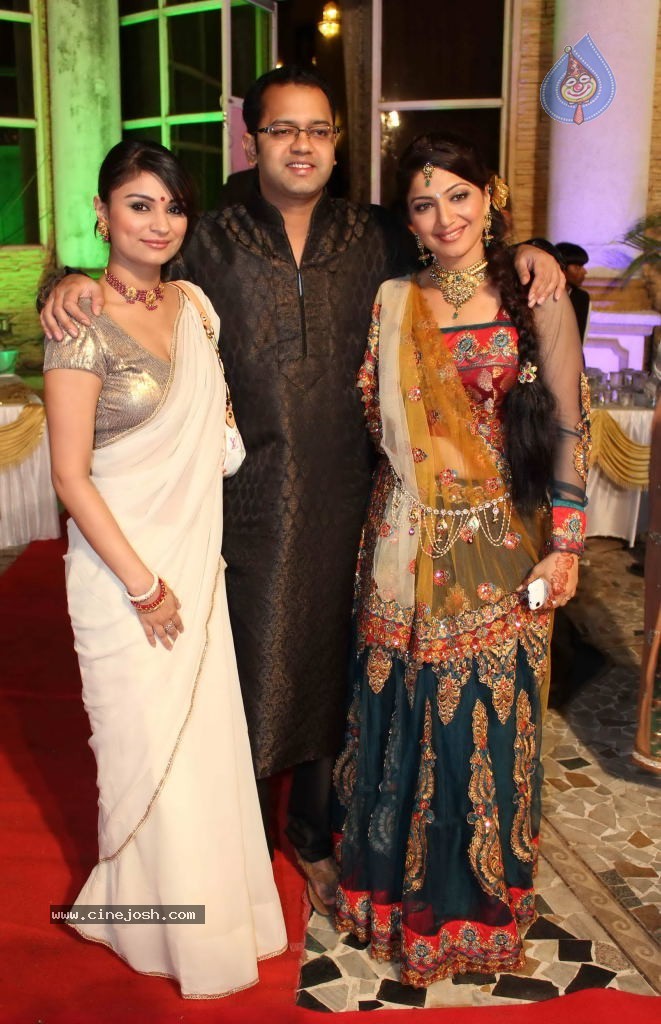 Deepshikha Wedding Reception - 34 / 41 photos