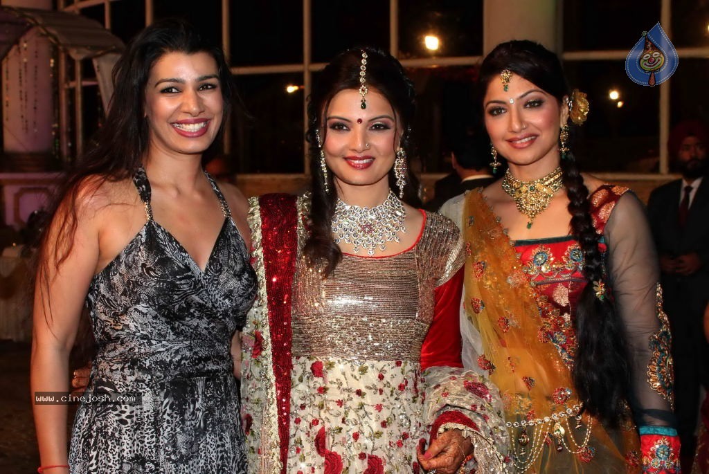 Deepshikha Wedding Reception - 38 / 41 photos