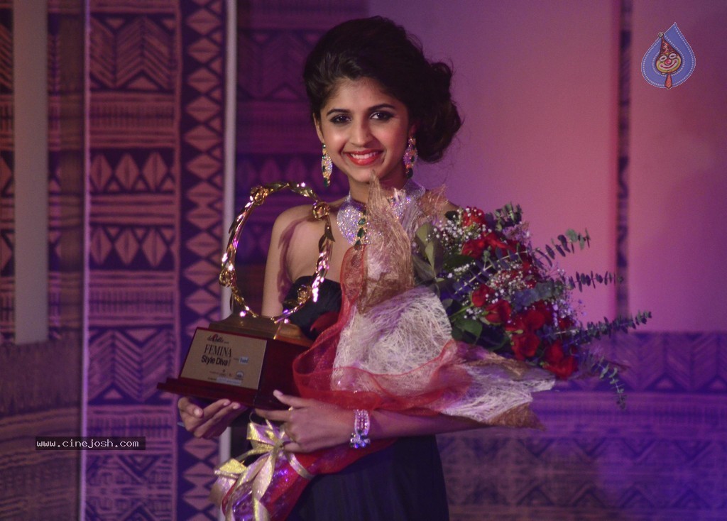Femina Style Diva 2014 Finals Photos - 18 / 24 photos